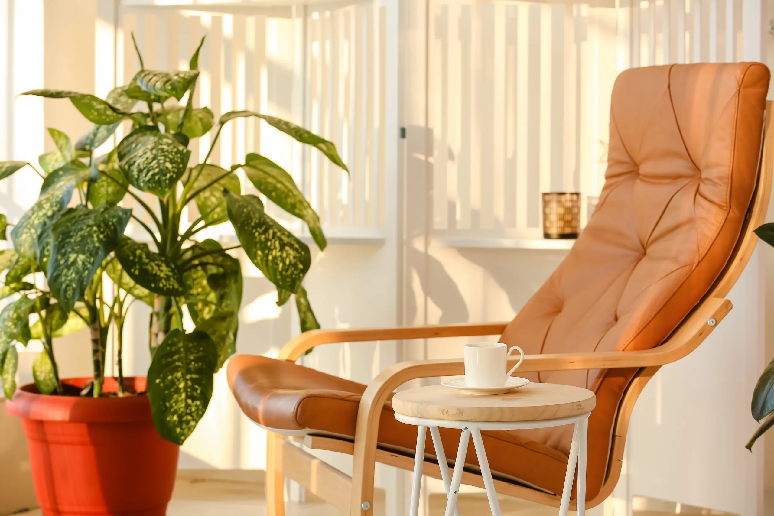 mindfulness and recovery calm practice